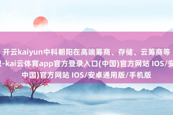 开云kaiyun中科朝阳在高端筹商、存储、云筹商等界限具有深