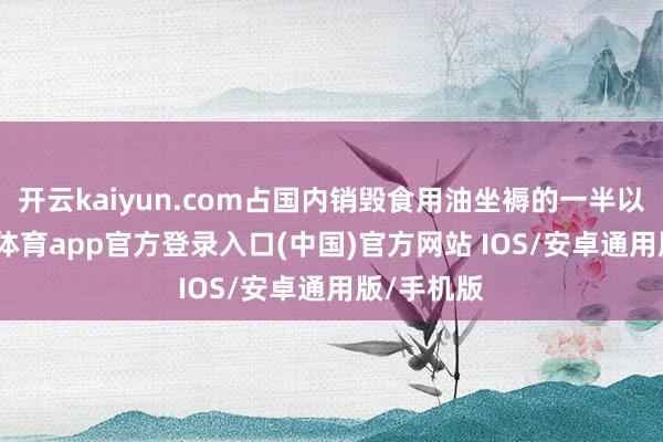 开云kaiyun.com占国内销毁食用油坐褥的一半以上-kai云体育app官方登录入口(中国)官方网站 IOS/安卓通用版/手机版