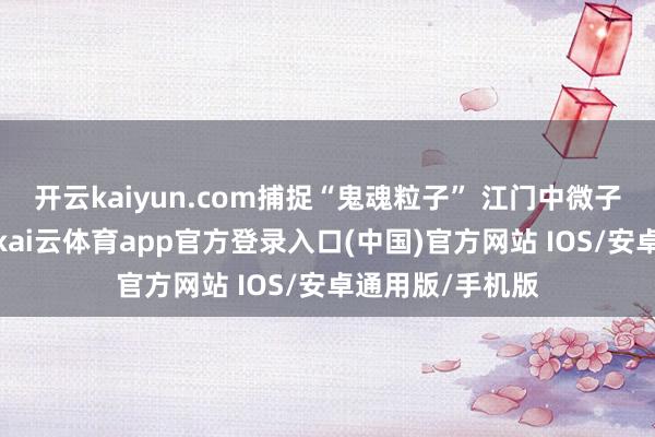 开云kaiyun.com捕捉“鬼魂粒子” 江门中微子履行矜重